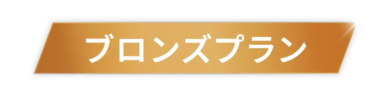 ブロンズプラン
