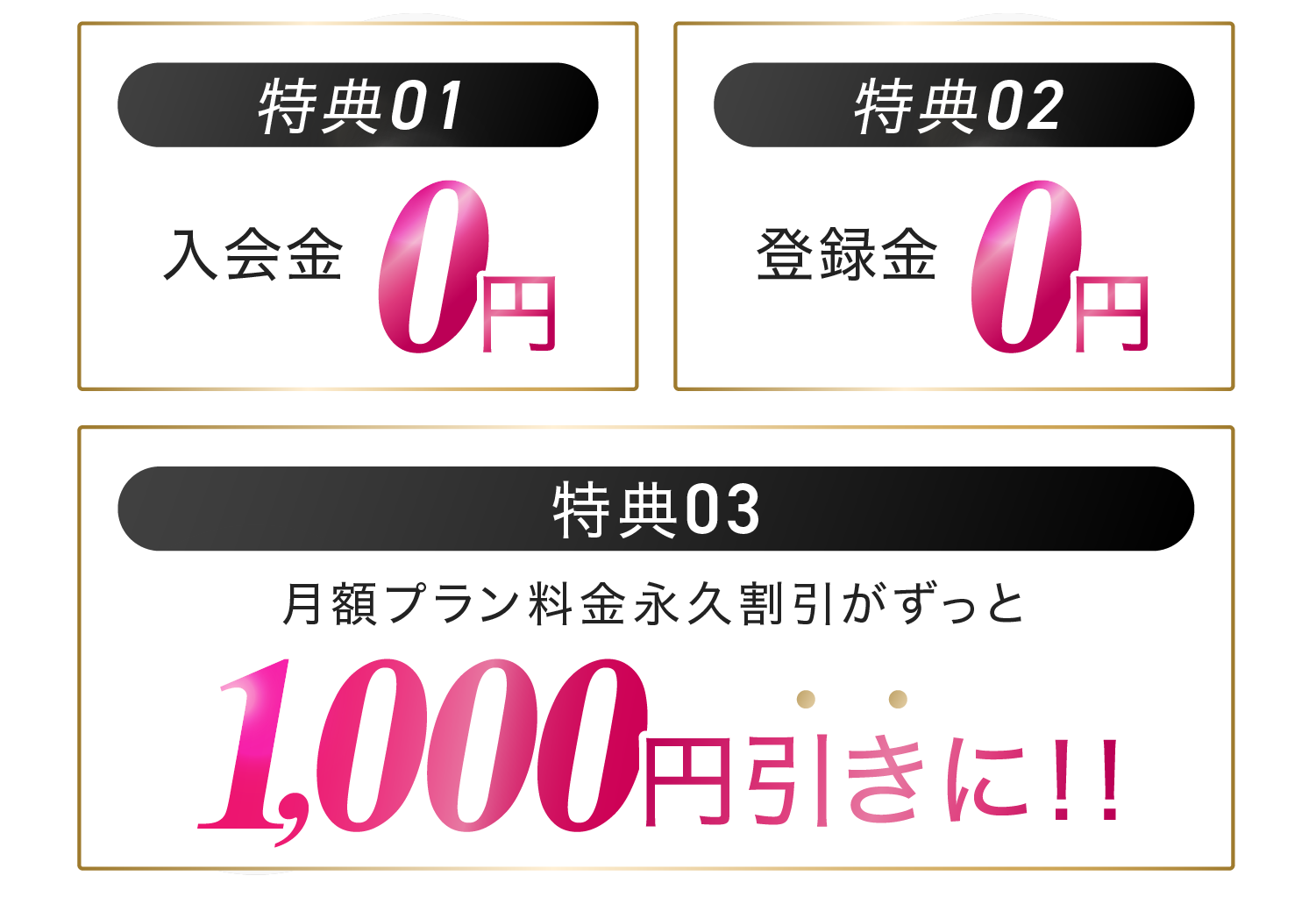 特典01:入会金0円　特典02:登録金0円　特典03:月額プラン料金永久割引がずっと1,000円引きに！