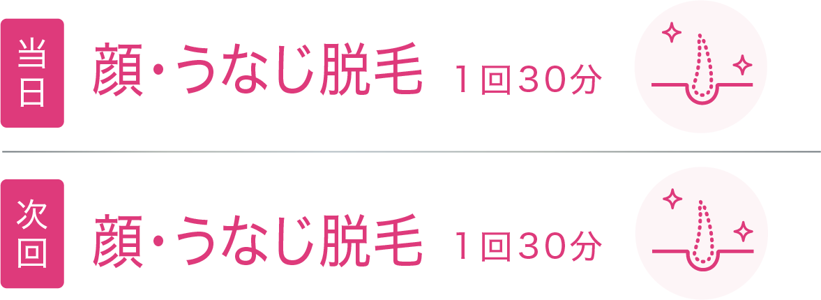当日：脱毛 1回30分、次回：脱毛 1回30分