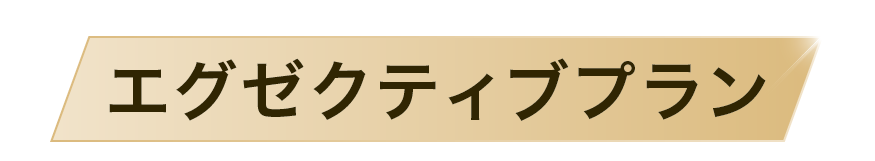 エグゼクティブプラン